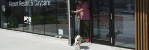 Noticia insólita: El aeropuerto de Roma inauguró un lujoso hotel para perros